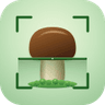 Mushroom Identifiers logo
