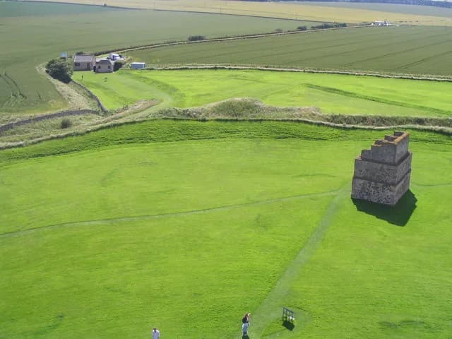 why are mushrooms growing in my yard fairy ring lawn grass fungi yard investigation